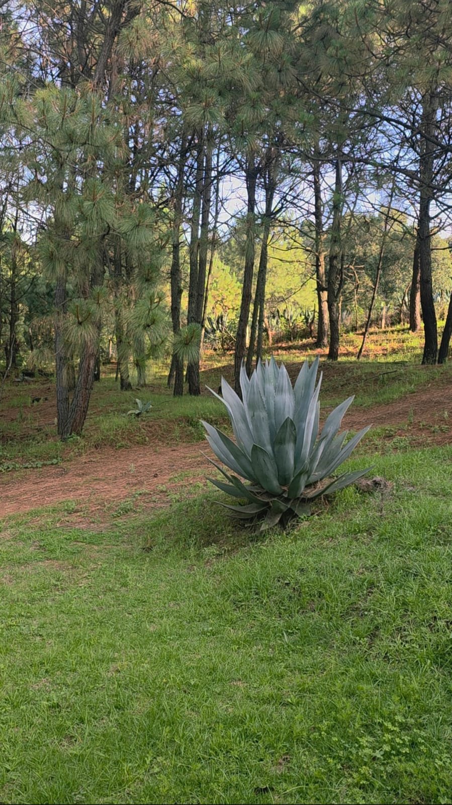 Foto Rancho 10