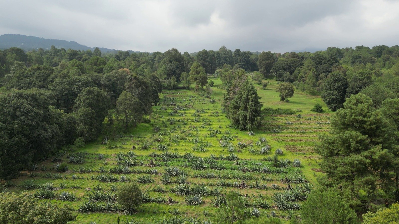 Foto Rancho 3