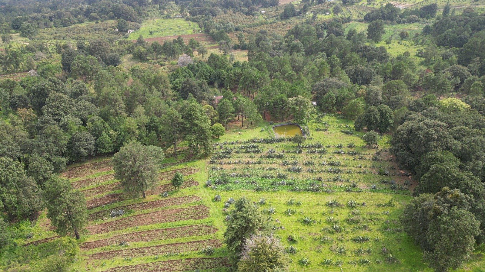 Foto Rancho 4