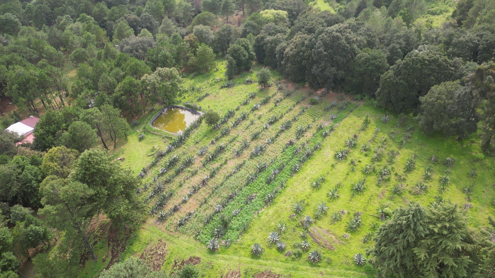 Foto Rancho 5